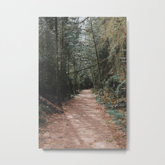 Into the Woods Metal Print