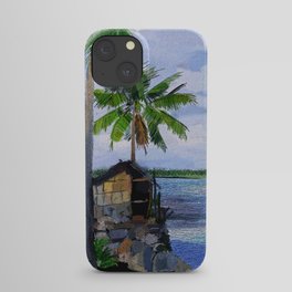Kerala Coconuts - 186 iPhone Case