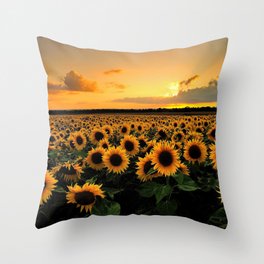 Sunflower field Throw Pillow