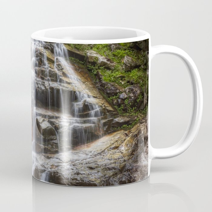 Falling Waters Coffee Mug