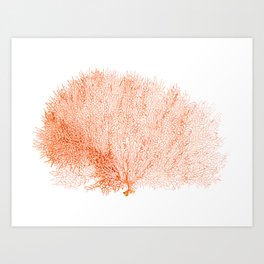 "Sea Fan Coral"  Art Print