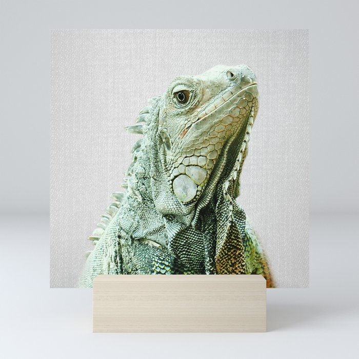 Iguana - Colorful Mini Art Print