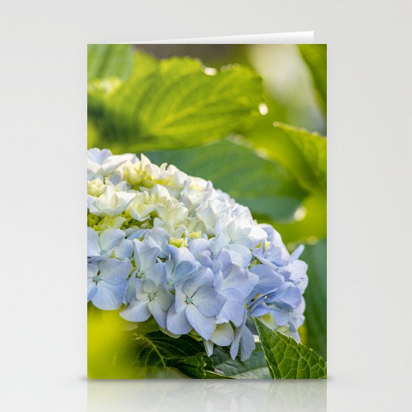 Blue and yellow flower, Hydrangea, cute and beautiful blossom. Stationery Cards