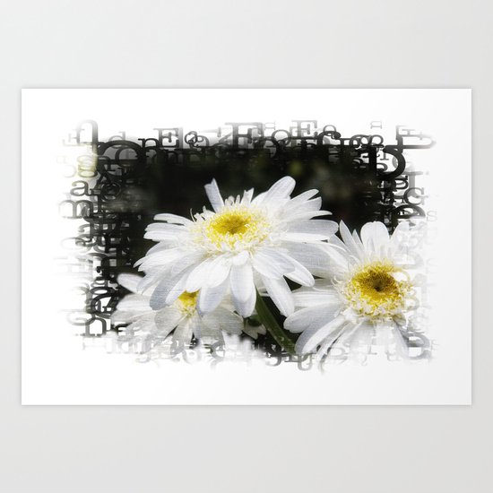 Daisy frame Art Print