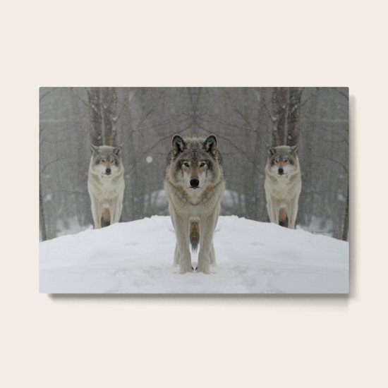 Posse Metal Print