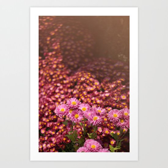 Colorful Pink Flowers Art Print