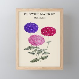Vintage Flower Market Hydrangea,Watercolor Hand Drawn Floral,Retro,Botanical,Nature,Cottage core,Exhibition,Museum, Framed Mini Art Print