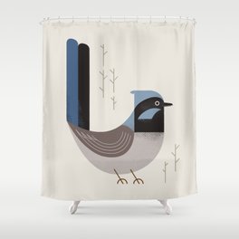 Superb Fairywren, Bird of Australia Shower Curtain