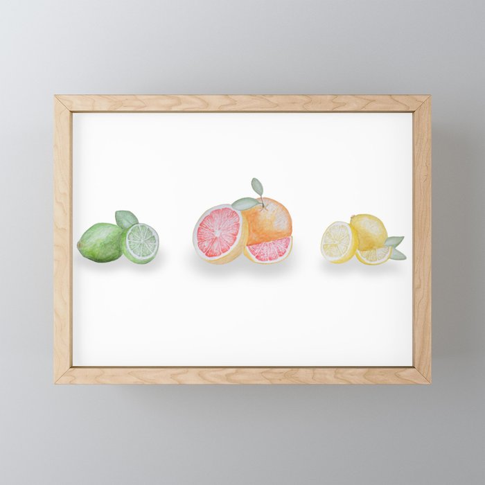 Summer Citrus Framed Mini Art Print