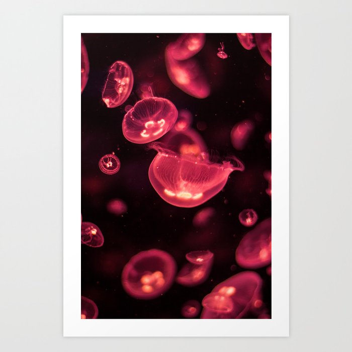 Red Moon Jellies Art Print
