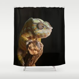 Comma Chameleon Shower Curtain