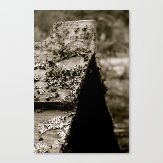 Native Grave Canvas Print