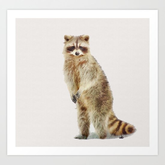 Raccoon Art Print