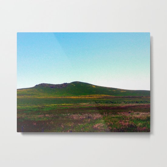 Wildflowers Metal Print