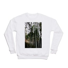 Aspen Light Rays Crewneck Sweatshirt