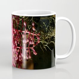 Medinilla Magnifica Coffee Mug | Medinillamagnifica, Color, Digital, Plant, Floral, Christianeschulze, Excoticflower, Wallart, Homedecor, Photo 
