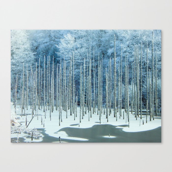 Frozen Pond Canvas Print