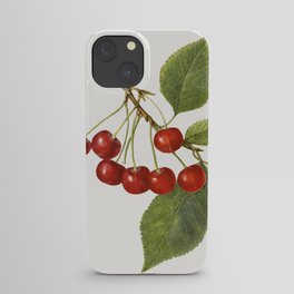 Vintage cherry illustration. 2 iPhone Case