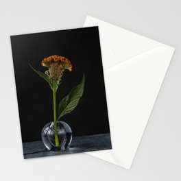 Photo print of orange flower in glass vase against black background Stationery Cards