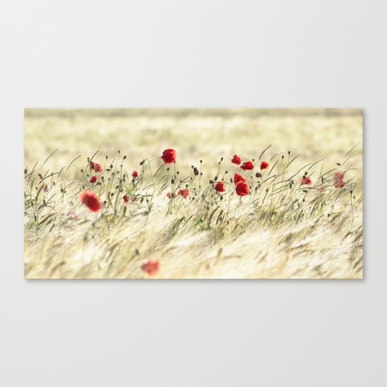A POPPY POEM Canvas Print