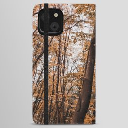 Amber fall forest  iPhone Wallet Case
