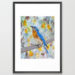 Springtime Eastern Bluebird Framed Art Print