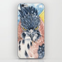 Ornate Hawk Eagle Raptor Watercolor Art iPhone Skin