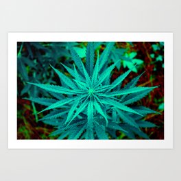 Twisted Frosty Weed Art Print
