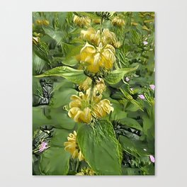 Shining Flower Canvas Print