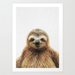 Young Sloth Art Print