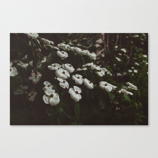 Highline Blooms IV Canvas Print