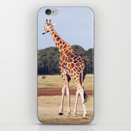 Giraffe iPhone Skin