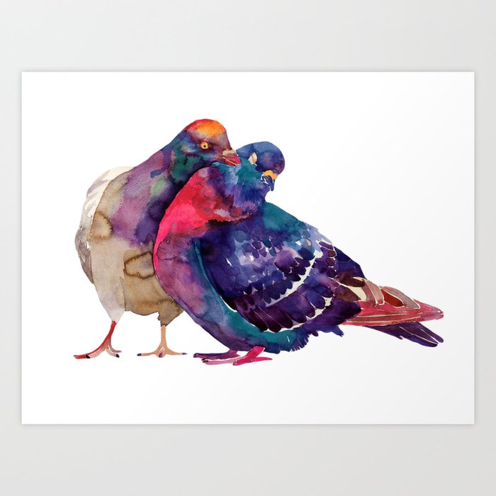 Pigeons Art Print