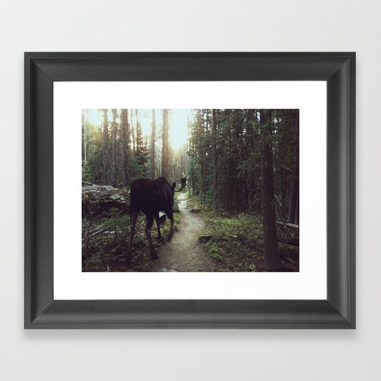 Trail Moose Framed Art Print