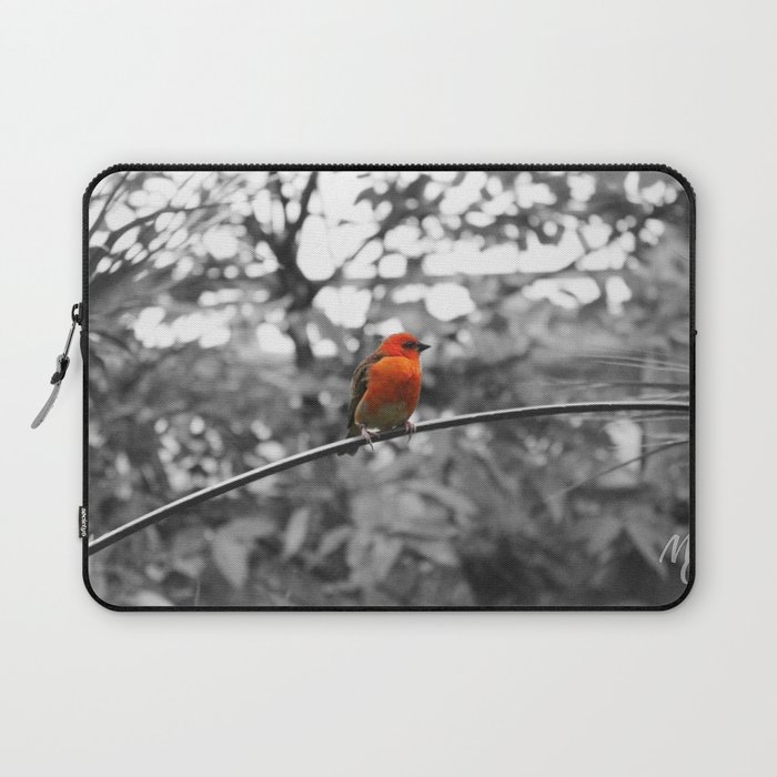 Red bird Laptop Sleeve