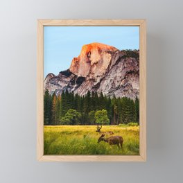 Two Deer Near Half Dome Framed Mini Art Print