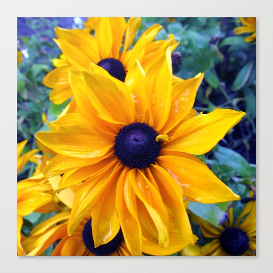 Earthy Sun Canvas Print