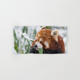 panda red panda snow walk Hand & Bath Towel