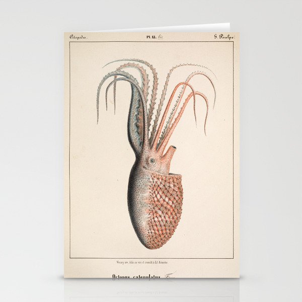 Octopus from "Mollusques Méditeranéens" by Jean Baptiste Vérany, 1851 Stationery Cards