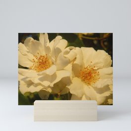 White Roses Mini Art Print