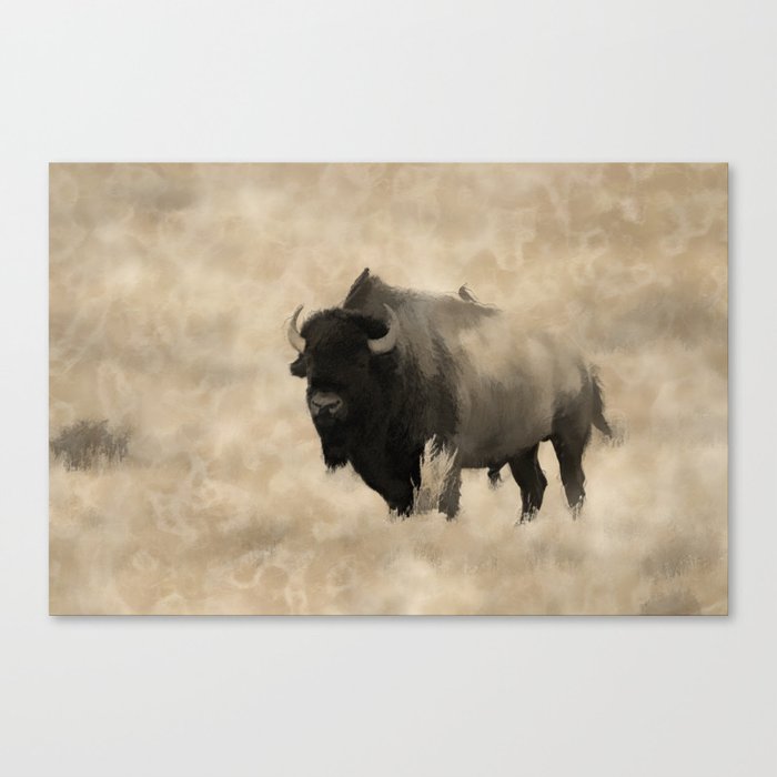 Canvas Print