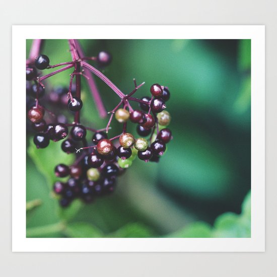 Something Wild Art Print