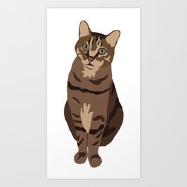 Tabby Cat Art Print