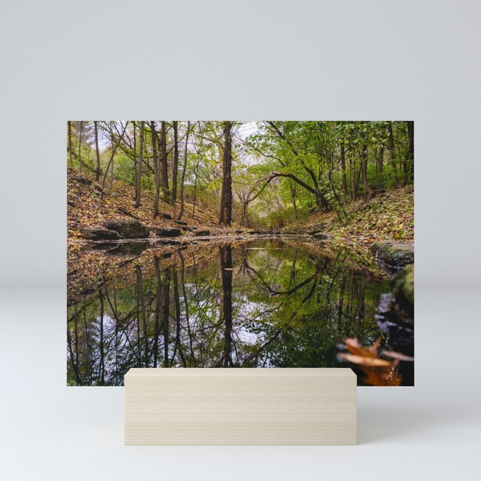 Reflective Forest Floor Landscape Photograph Mini Art Print