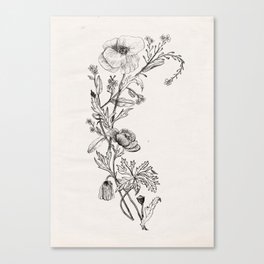 WILDFLOWERS Canvas Print