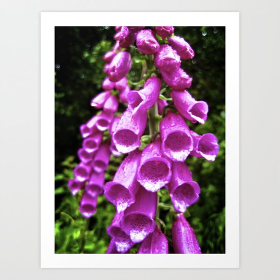 Pink Bells (3) Art Print