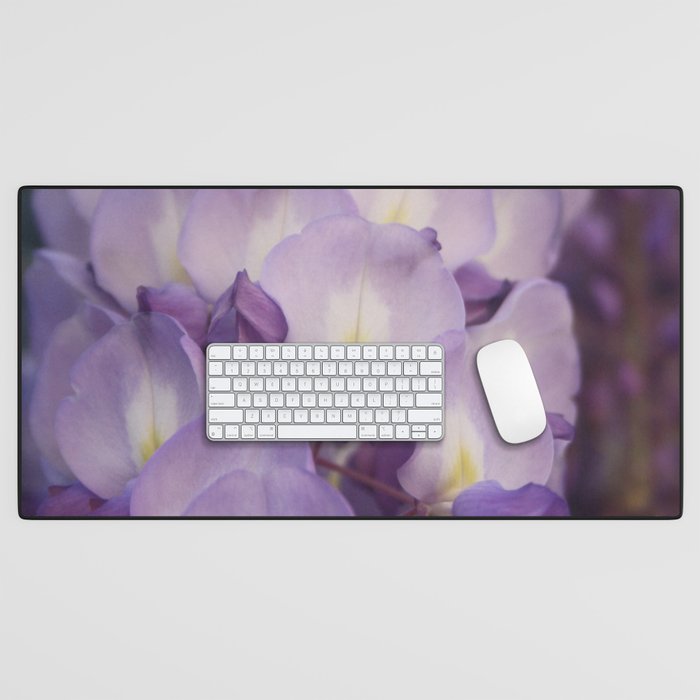 Pale Mauve And Purple Wisteria Flowers In Close Up Desk Mat