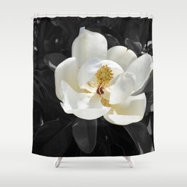 Steel Magnolias - Sweet scented white Magnolia flower Shower Curtain