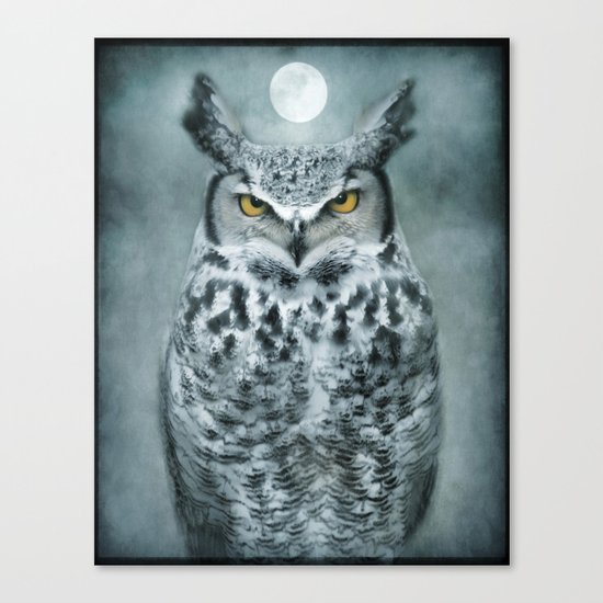 By the light of the Moon... Canvas Print