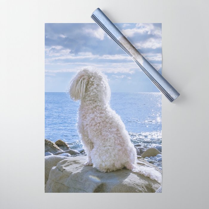 Beige Poodle Sitting On White Stone Wrapping Paper